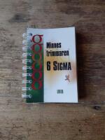 Minnestrimmaren 6 Sigma