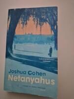 Netanyahus : en redog&ouml;relse f&ouml;r en mindre och n&auml;r allt kommer omkring rentav f&ouml;rsumbar episod i historien om en mycket k&auml;nd familj