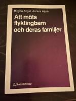 Att m&ouml;ta flyktingbarn och deras familjer