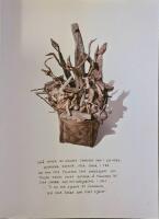 Vildhj&auml;rta : en k&auml;r lek mellan m&auml;nniska och skog