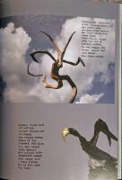 Vildhj&auml;rta : en k&auml;r lek mellan m&auml;nniska och skog