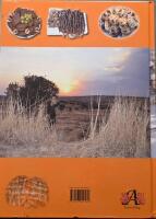 Bethnahrinska k&ouml;ket : mat som smakar p&aring; riktigt