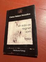 En sida av regnet som faller : dikter