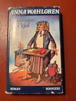 Mannen i kjol : roman