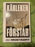 K&auml;rleken vi inte f&ouml;rst&aring;r