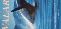 Valar