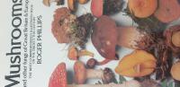 Mushrooms and other fungi of Great Britain and Europe