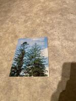 Air Pollution and Forestry