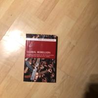 Global rebellion : religious challenges to the secular state, from Christian militias to Al Qaeda