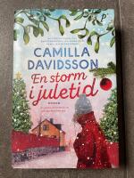 En storm i juletid