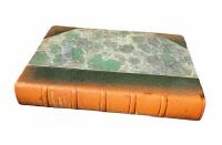 SKARAB&Eacute;MYSTERIET