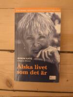 &Auml;lska livet som det &auml;r : fyra fr&aring;gor som kan f&ouml;r&auml;ndra ditt liv