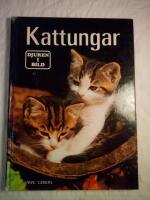 Kattungar