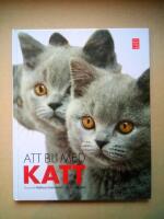 Att bli med katt