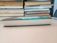 Drakar lyfter i motvind