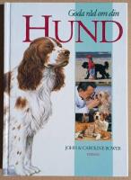 Goda r&aring;d om din hund