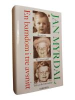 En barndom i tre avsnitt