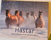 H&auml;star : uppt&auml;ck sk&ouml;nheten hos de majest&auml;tiska djuren