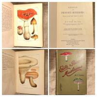 EDIBLE & POISONOUS MUSHROOMS. What to eat and What to avoid.