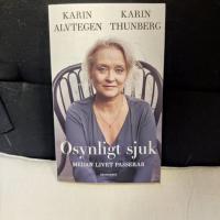 Osynligt sjuk : medan livet passerar