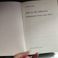 Sp&aring;r av det f&ouml;rflutna : Borl&auml;ngebygdens historia under 5000 &aring;r