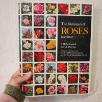 The dictionary of roses in colour