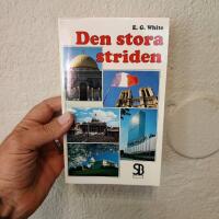 Den stora striden : m&auml;nsklighetens v&auml;g genom v&auml;xlande &ouml;den mot en lycklig framtid