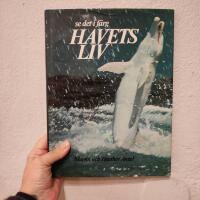 Havets liv - Se det i f&auml;rg