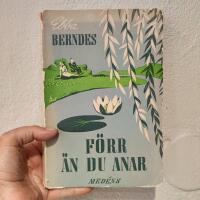 F&ouml;rr &auml;n du anar