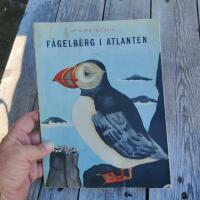 F&aring;gelberg i Atlanten