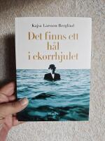 Det finns ett h&aring;l i ekorrhjulet : P&aring; jakt efter balans i livet