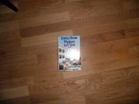 Tiggare och tjuv : [roman]