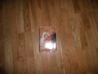 Att f&aring;nga lyckan : [roman]