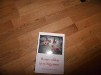 Barns olika intelligenser