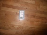 Elegier : I tolkning av Ingvar Bj&ouml;rkeson (Levande litteratur