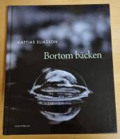 Bortom b&auml;cken