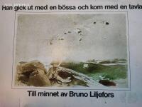 Han gick ut med en b&ouml;ssa och kom med en tavla : till minnet av Bruno Liljefors