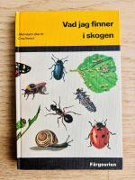 VAD JAG FINNER I SKOGEN
