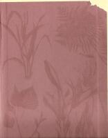 V&auml;xternas sl&auml;ktskap : genealogi f&ouml;r tr&auml;dg&aring;rds&auml;lskare