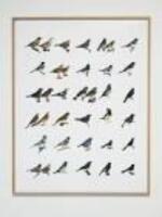 Den omedelbara framtiden = The immediate future : Manon de Boer, Zelvinas Kempinas, Melvin Moti : 31 januari - 29 mars 2009