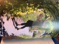 Fika, kika, njut : Stockholms b&auml;sta utflykter