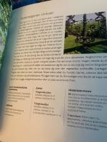 Fika, kika, njut : Stockholms b&auml;sta utflykter