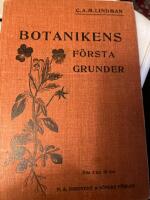 Botanikens f&ouml;rsta grunder