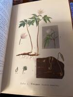 Botanikens f&ouml;rsta grunder