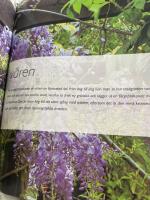 Stora tr&auml;dg&aring;rdsboken