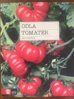 Odla tomater