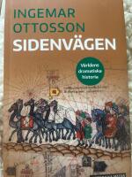 Sidenv&auml;gen