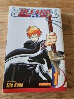 Bleach. Strawberry and the soul reapers