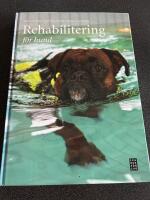 Rehabilitering f&ouml;r hund