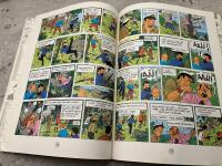 Plan 714 till Sydney